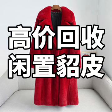 u=2277567879,4016988764&fm=203&mola=new&crop=v1.jpg